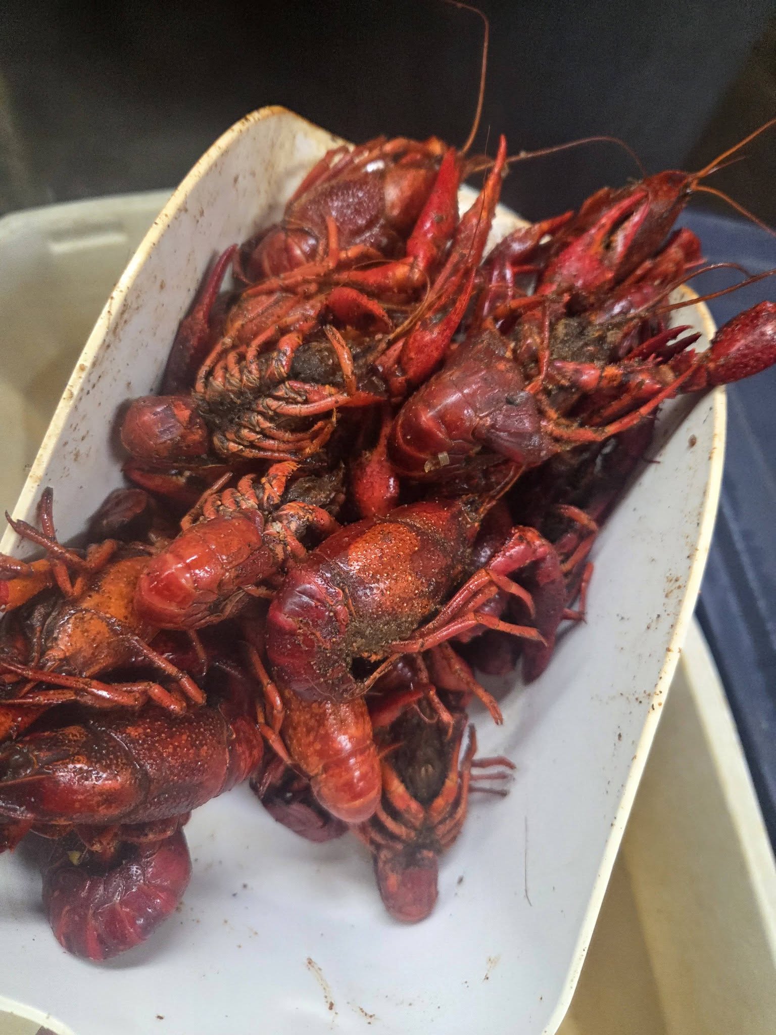 Crawfish Season