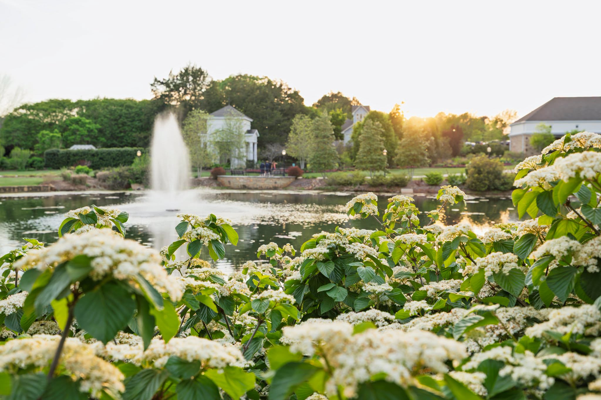 Huntsville Botanical Garden fountain and greenery