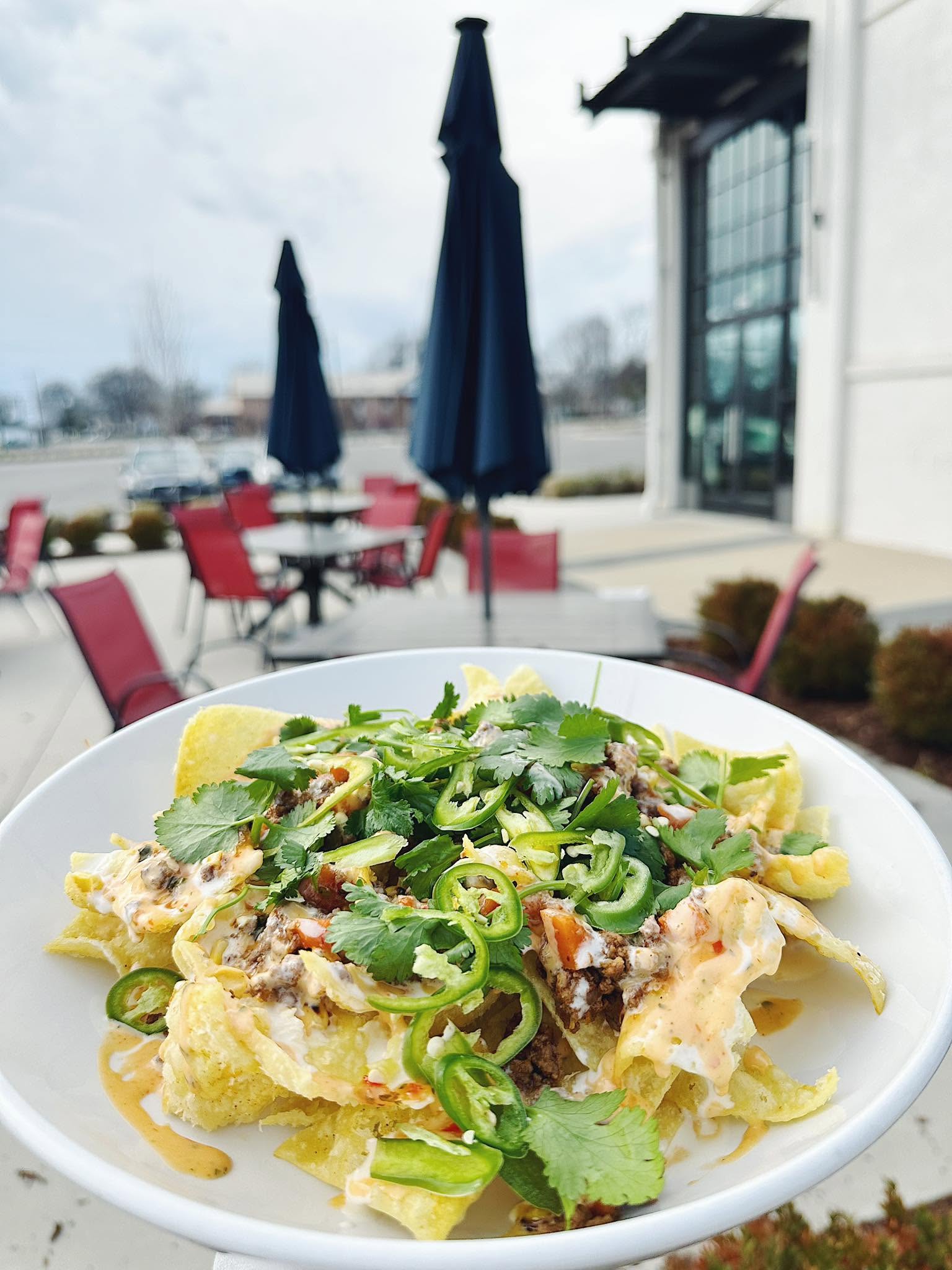 Wonton Nachos